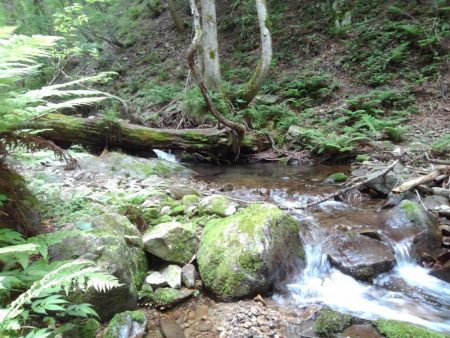 渓流ミノーイング ～長良川水系～